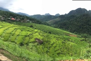 Ninh Binh: 3 dias de trekking e ciclismo em Pu Luong e Mai Chau