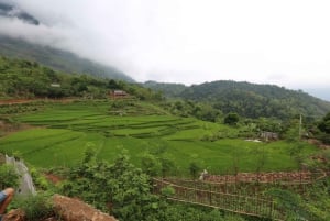 Ninh Binh: 3 dias de trekking e ciclismo em Pu Luong e Mai Chau