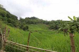 Ninh Binh: 3 dias de trekking e ciclismo em Pu Luong e Mai Chau