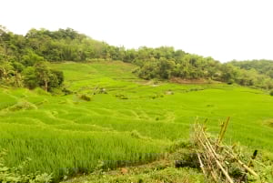 Ninh Binh: 3 dias de trekking e ciclismo em Pu Luong e Mai Chau
