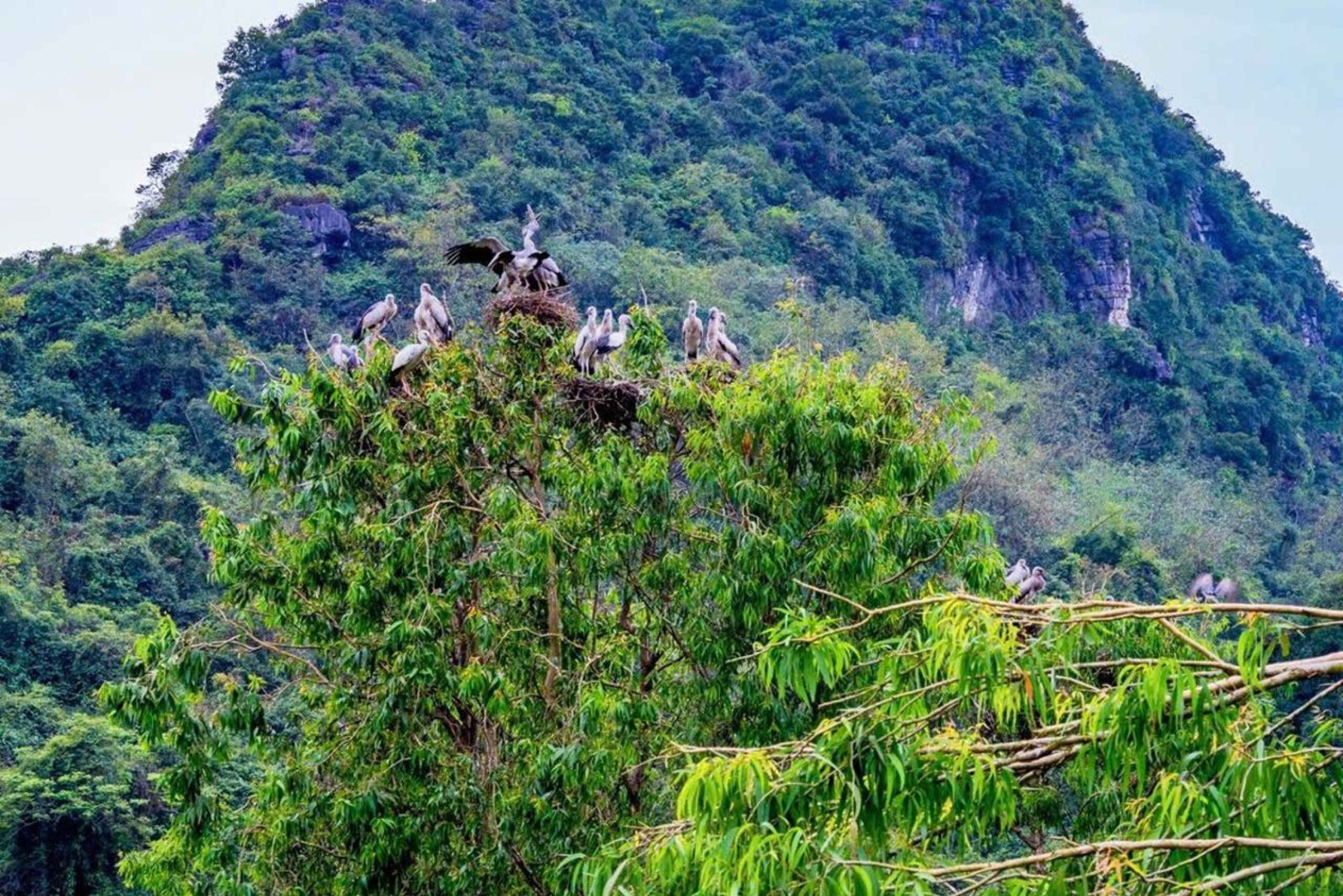 Ninh Binh: Ancient Capital & Pagoda 2-Day Tour