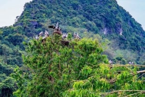 Ninh Binh: Capital antiga e pagode: excursão de dois dias