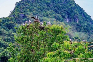 Ninh Binh: Ancient Capital & Pagoda 2-Day Tour