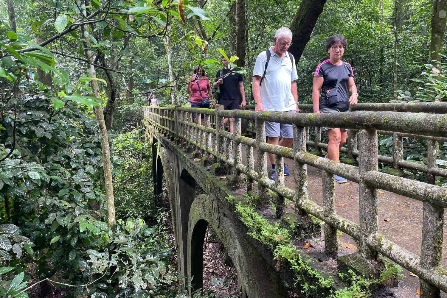 Ninh Binh: CUC PHUONG Park – dagstur med vandretur i junglen, LILLE GRUPPE