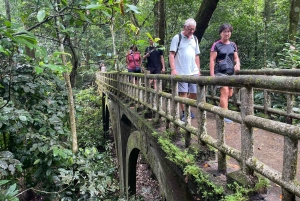 Ninh Binh: CUC PHUONG Park – dagstur med vandretur i junglen, LILLE GRUPPE