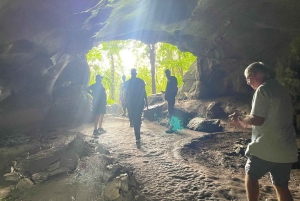 Ninh Binh: CUC PHUONG Park – dagstur med vandretur i junglen, LILLE GRUPPE