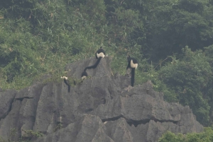 Ninh Binh: CUC PHUONG Park – dagstur med vandretur i junglen, LILLE GRUPPE