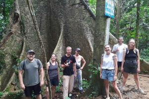Ninh Binh: CUC PHUONG Park – dagstur med vandretur i junglen, LILLE GRUPPE