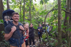 Ninh Binh: CUC PHUONG Park – dagstur med vandretur i junglen, LILLE GRUPPE