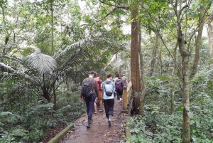 Ninh Binh: CUC PHUONG Park – dagstur med vandretur i junglen, LILLE GRUPPE