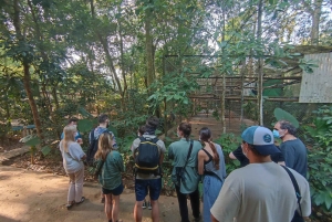 Ninh Binh: CUC PHUONG Park – dagstur med vandretur i junglen, LILLE GRUPPE
