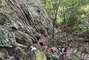 Ninh Binh: CUC PHUONG Park – dagstur med vandretur i junglen, LILLE GRUPPE
