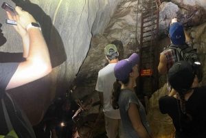 Ninh Binh: CUC PHUONG Park – dagstur med vandretur i junglen, LILLE GRUPPE