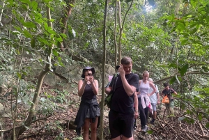 Ninh Binh: CUC PHUONG Park – dagstur med vandretur i junglen, LILLE GRUPPE