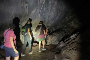 Ninh Binh: CUC PHUONG Park – dagstur med vandretur i junglen, LILLE GRUPPE