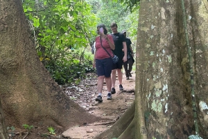 Ninh Binh: CUC PHUONG Park – dagstur med vandretur i junglen, LILLE GRUPPE