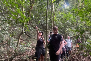 Ninh Binh: CUC PHUONG Park – dagstur med vandretur i junglen, LILLE GRUPPE