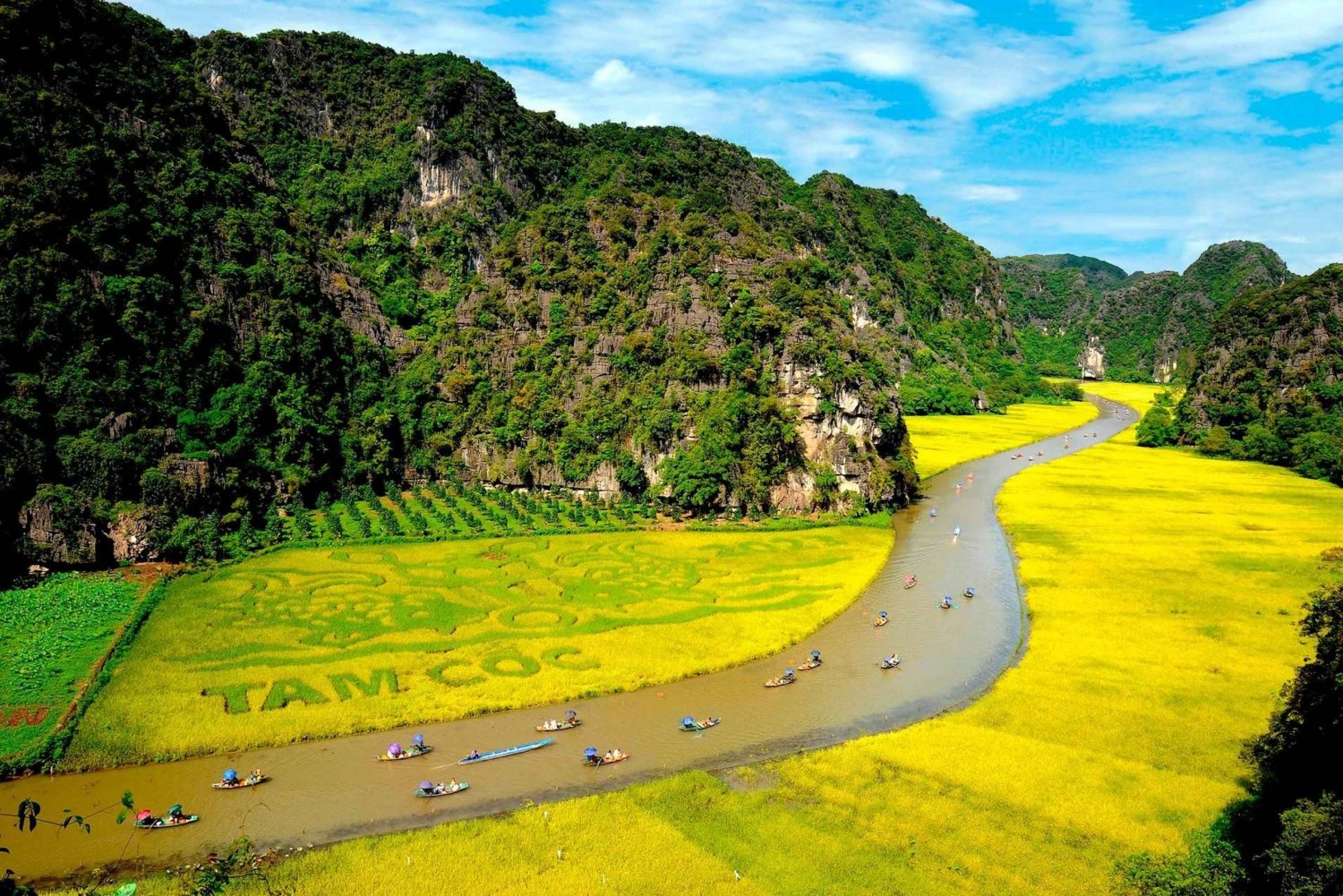 NINH BINH PÄIVÄRETKI: HOA LU, MUA LUOLAT &THUNG NHAM LINTULAAKSO