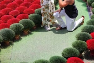 Ninh Binh vanuit Hanoi via wierookdorp Kleine groep van 9