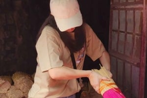 Ninh Binh vanuit Hanoi via wierookdorp Kleine groep van 9