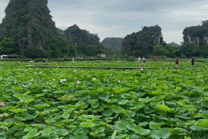 Ninh Binh Trang An Mua-hulen Pu Luong 3-dages tur fra Hanoi