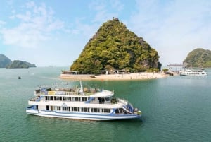 Ninh Binh: crociera di un giorno nella baia di Halong con pranzo e ritorno ad Hanoi