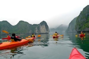 Ninh Binh: Halong Bay dagskryssning med måltid och avlämning i Hanoi