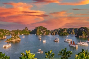 Ninh Binh: Dagstur til Halongbukta med måltid og avlevering i Hanoi