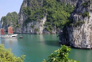 Ninh Binh: Dagstur til Halongbukta med måltid og avlevering i Hanoi