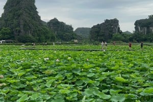 Ninh Binh Trang An, capitale Hoa Lu, visite de la pagode Bai Dinh