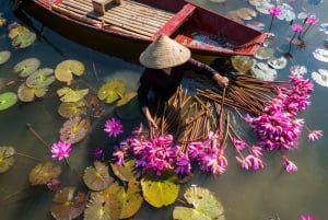 Excursão de luxo em limusina: Hoa Lu, Trang An/Tam Coc e Caverna Mua