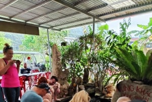 Ninh Binh: Przytulne rejsy po zatoce Lan Ha - wycieczka rowerowa, kajak, posiłki
