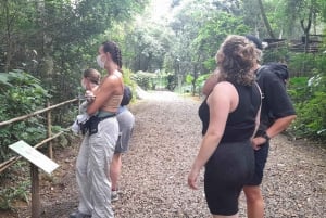 Cuc Phuongin kansallispuiston vaellusretki