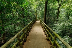 Cuc Phuongin kansallispuiston vaellusretki