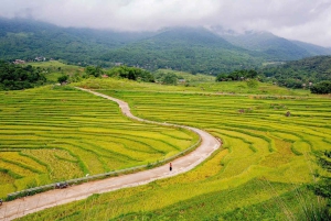 Pu Luong Trekking & Homestay 2-dagers tur fra Ninh Binh