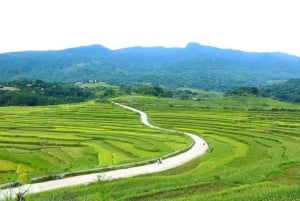 Pu Luong Trekking & Homestay 2-dagers tur fra Ninh Binh