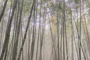 Pu Luong Trekking & Homestay 2-dagers tur fra Ninh Binh