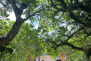 Ninh Binh: Tam Coc-boottocht, fietsen op het platteland en borduurwerk