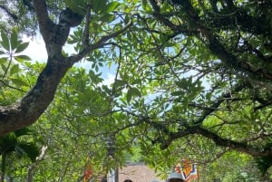 Ninh Binh: Tam Coc-bådtur, cykeltur på landet og broderi