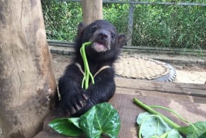 Ninh Binh: Trang An, Bear Sanctuary, Hoa Lu Day Tour