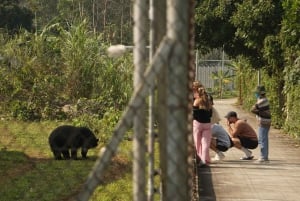 Ninh Binh: Trang An, Bear Sanctuary, Hoa Lu Day Tour