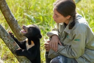 Ninh Binh: Trang An, Bear Sanctuary, Hoa Lu Day Tour