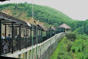 Ninh Binh: Trang An, Bear Sanctuary, Hoa Lu Day Tour