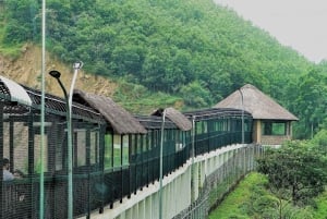 Ninh Binh: Trang An, Bear Sanctuary, Hoa Lu Day Tour