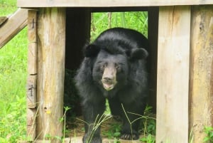 Ninh Binh: Trang An, Bear Sanctuary, Hoa Lu Day Tour