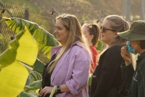Ninh Binh: Trang An, Bear Sanctuary, Hoa Lu Day Tour