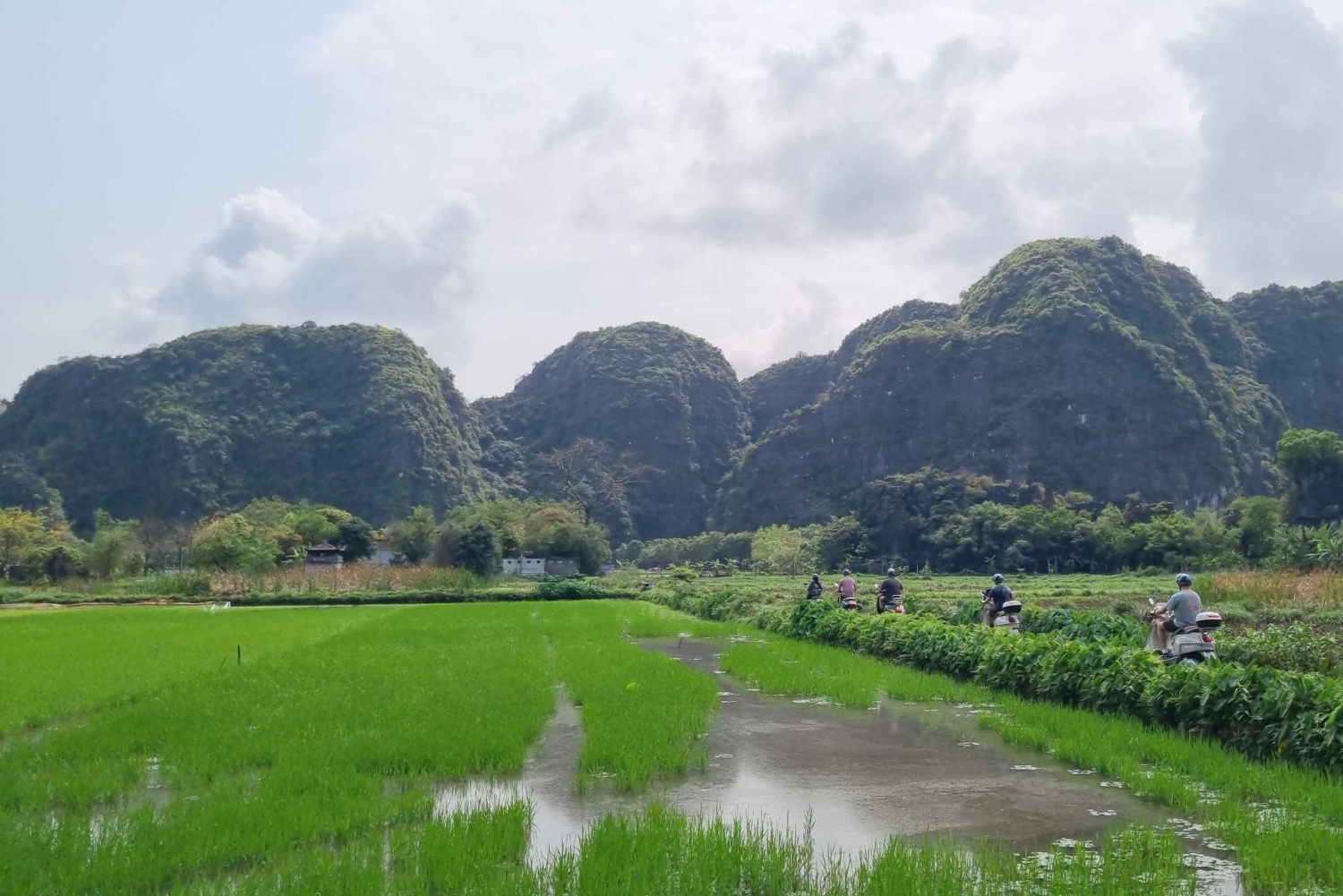 Ninh Binh Vespa-Touren ab Hanoi: Vespa + Boot + Alltagsleben