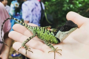 ニンビン：野生生物、ジャングルハイキング、ククフォン国立公園ガイドツアー