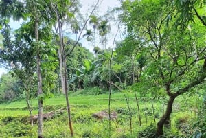 Pu Luong 2-daagse natuurretraite met bamboevlot & trektocht