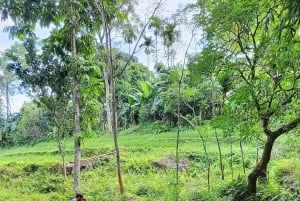 Pu Luong 2-daagse natuurretraite met bamboevlot & trektocht